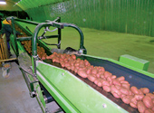 Оборудование овоще-картофеле- и других типов хранилищ