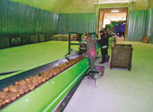 Картофелехранилище по технологии бескаркасного строительства